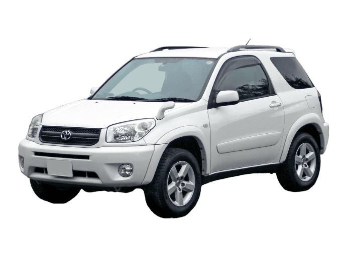 Toyota RAV 4 3 dv 2000-2005 lyžiny